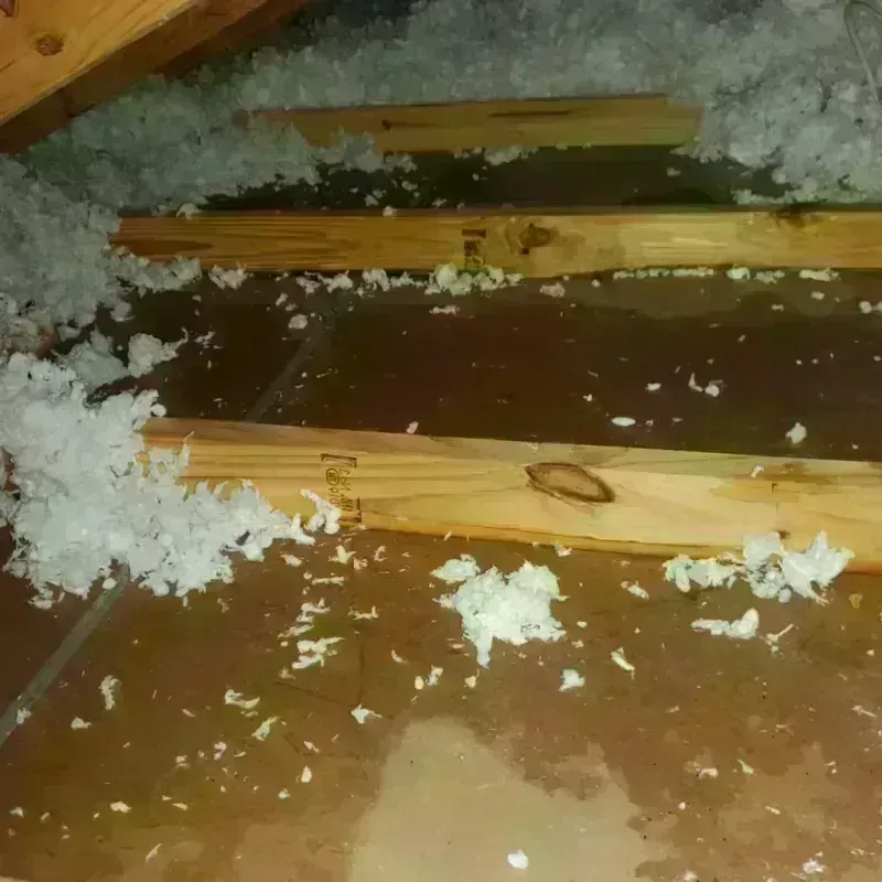 Attic Water Damage in Collegedale, TN